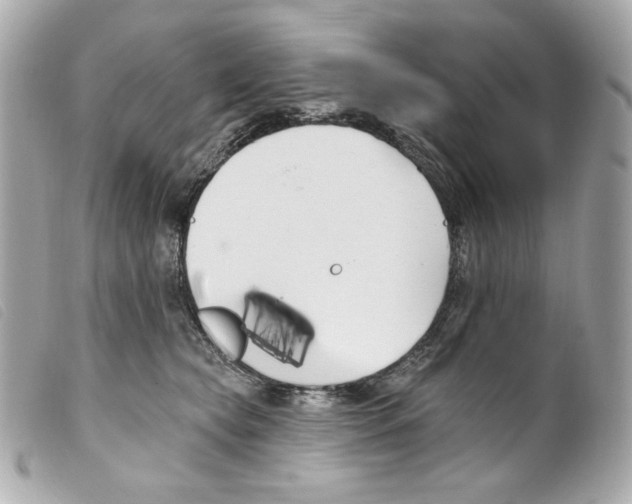 X0000099320565200805301218