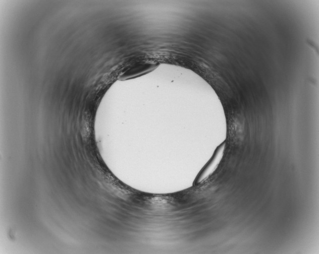 X0000099320566200805301218