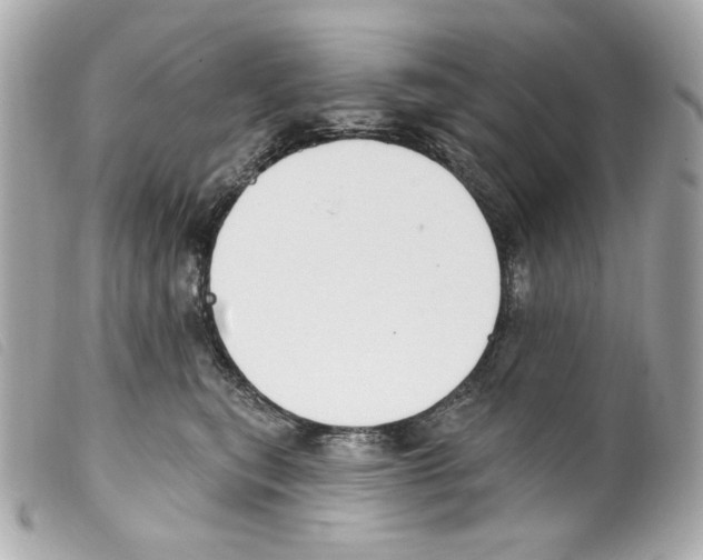 X0000099320567200805301218