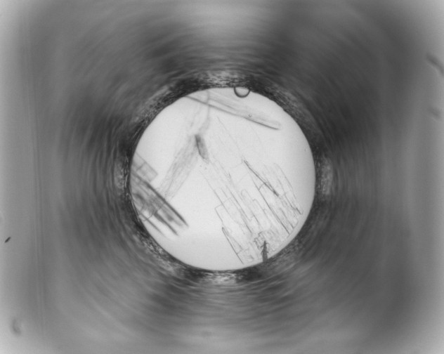 X0000099320569200805301218