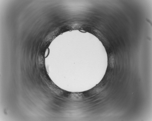 X0000099320571200805301218