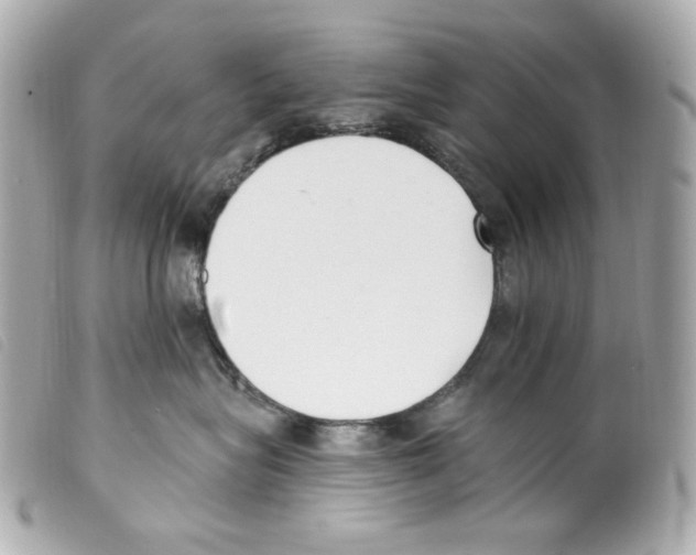 X0000099320575200805301218