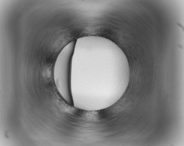 X0000099320576200805301218