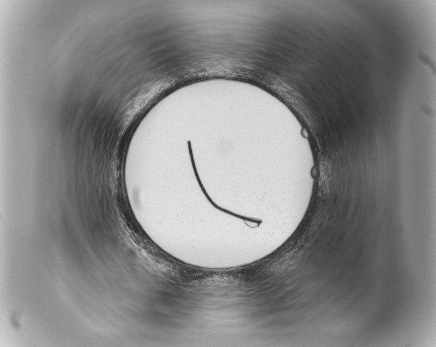 X0000099320578200805301218