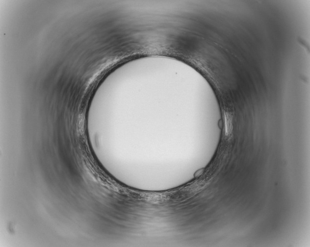 X0000099320579200805301217