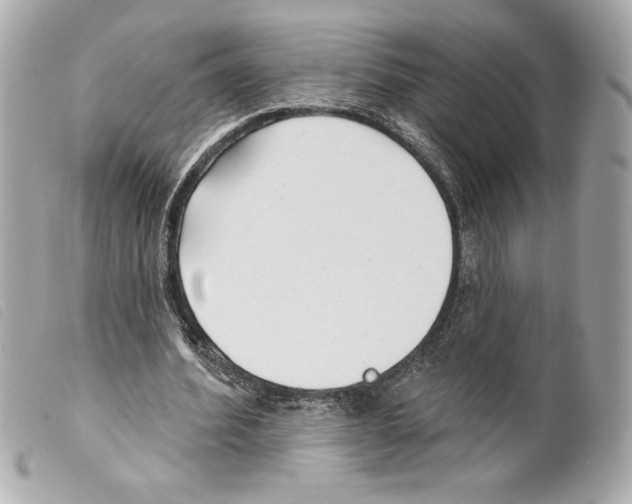X0000099320580200805301217