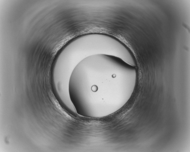 X0000099320581200805301217