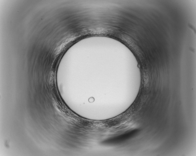 X0000099320583200805301217