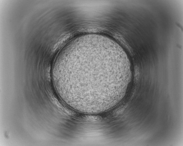 X0000099320585200805301217