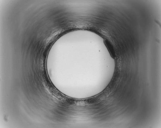 X0000099320587200805301217
