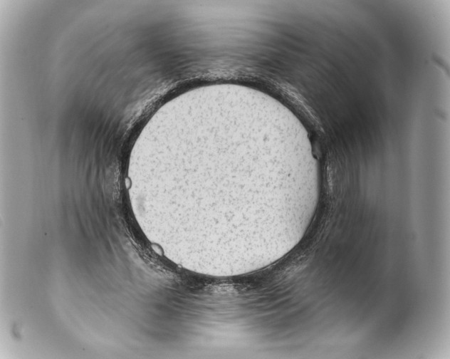 X0000099320588200805301217