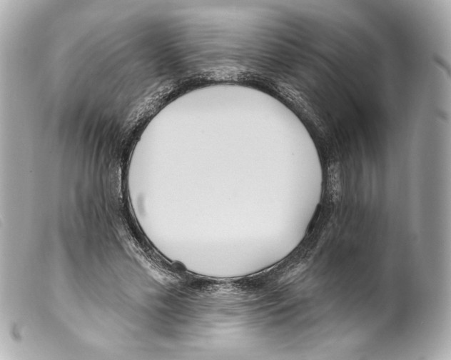 X0000099320589200805301217
