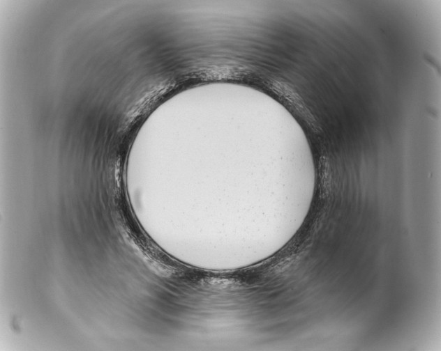 X0000099320590200805301217