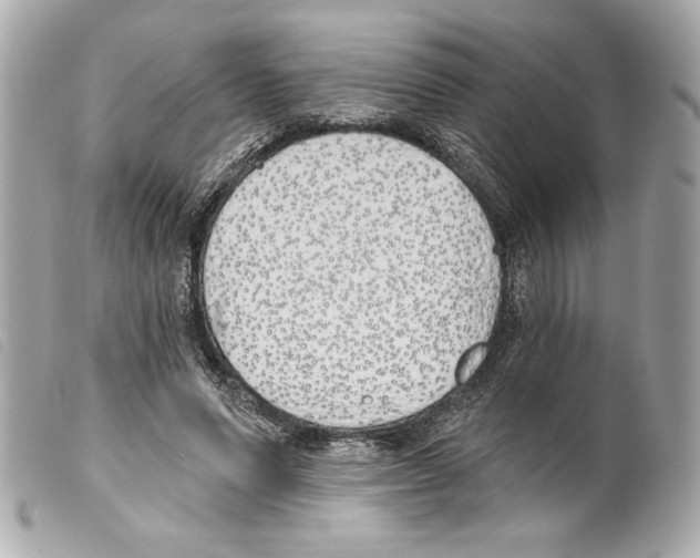 X0000099320591200805301217