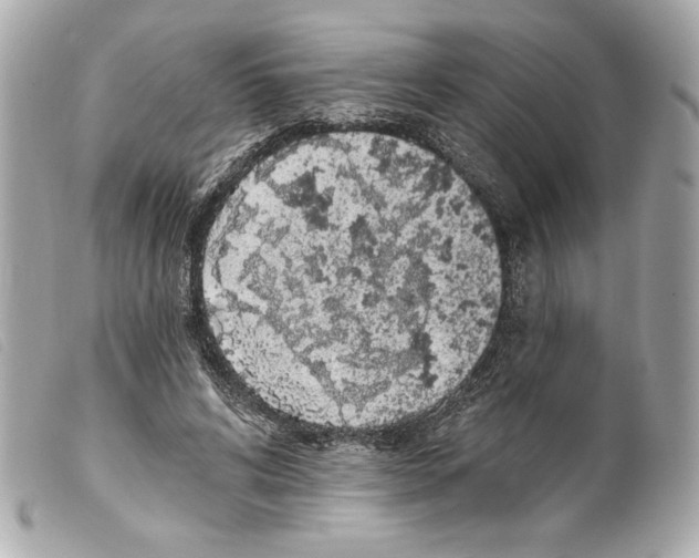 X0000099320592200805301217
