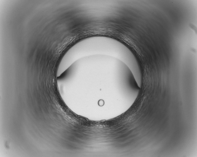 X0000099320593200805301217