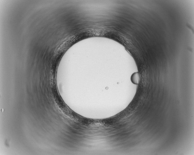 X0000099320594200805301217
