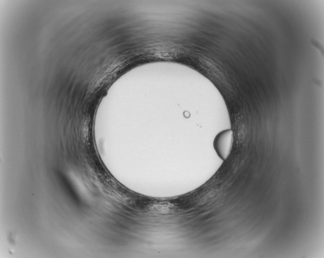X0000099320595200805301217