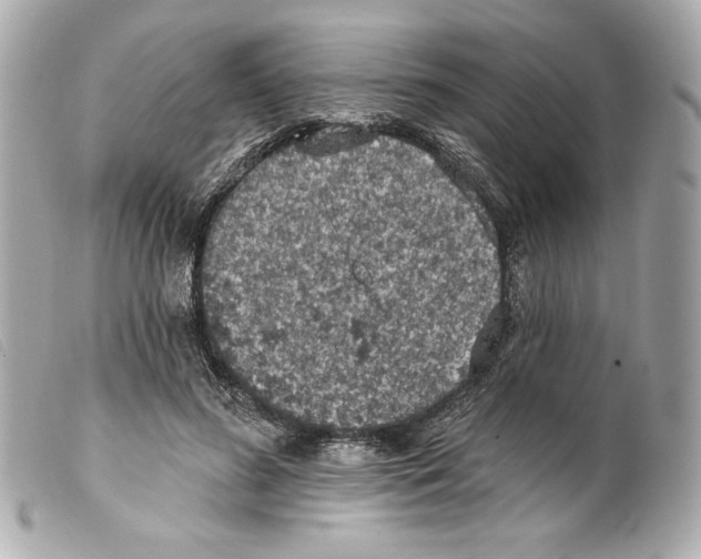 X0000099320596200805301217