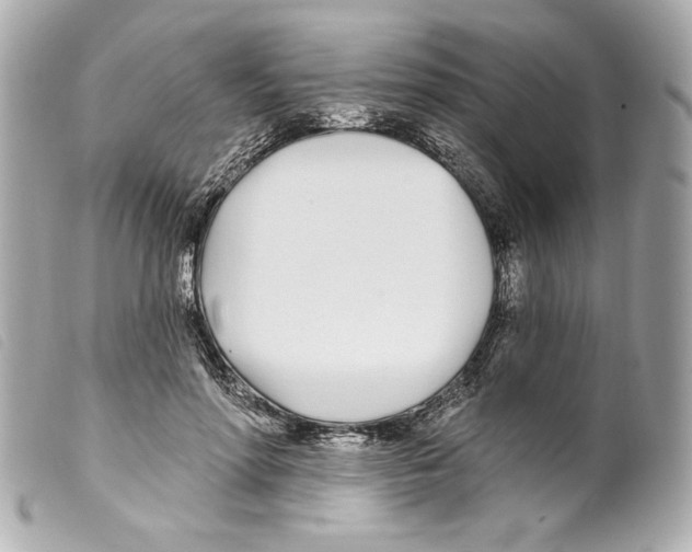 X0000099320598200805301217