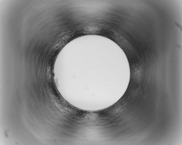 X0000099320599200805301217