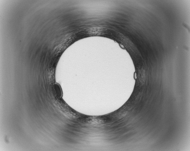 X0000099320601200805301217