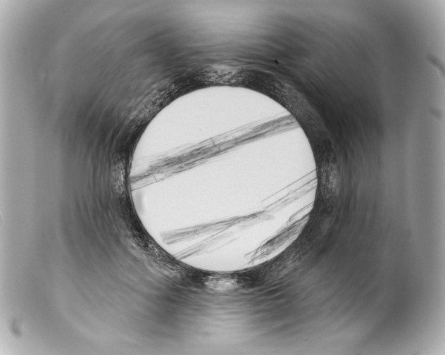 X0000099320602200805301217