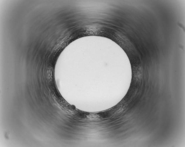 X0000099320603200805301217