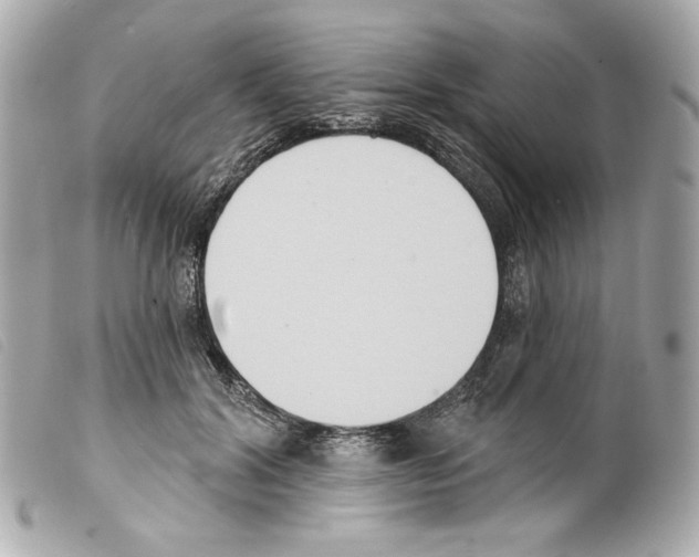 X0000099320604200805301217