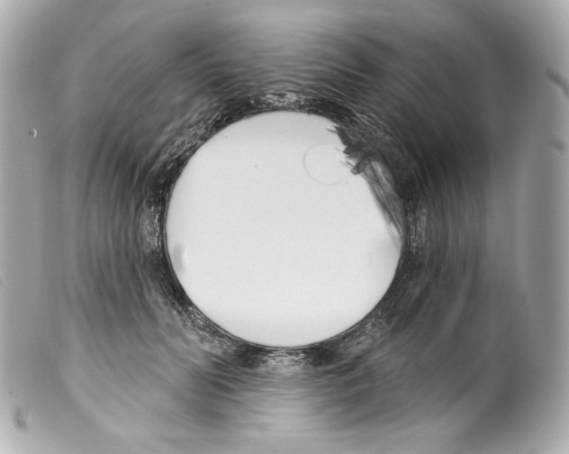 X0000099320606200805301217