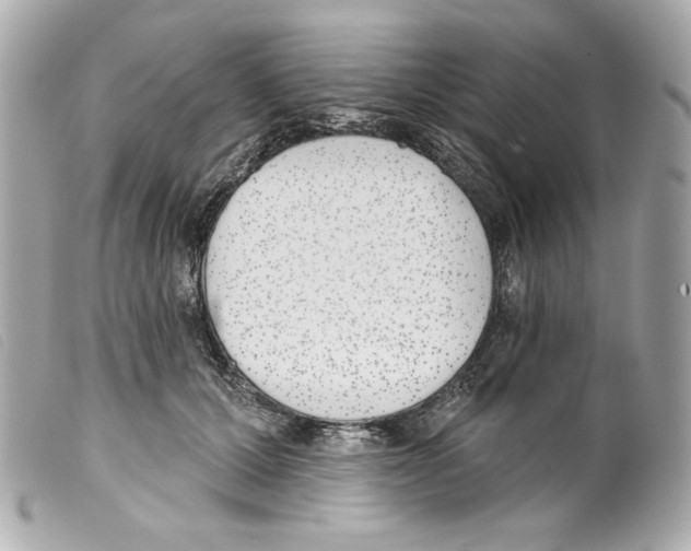X0000099320607200805301217