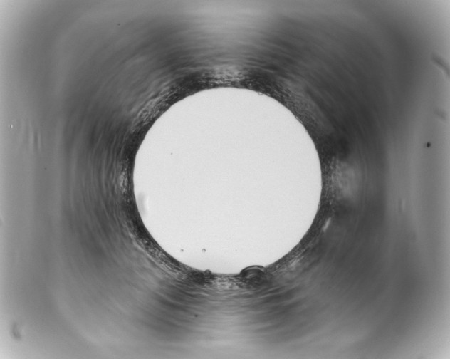 X0000099320608200805301217