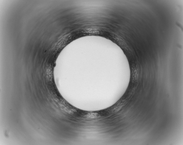 X0000099320609200805301217