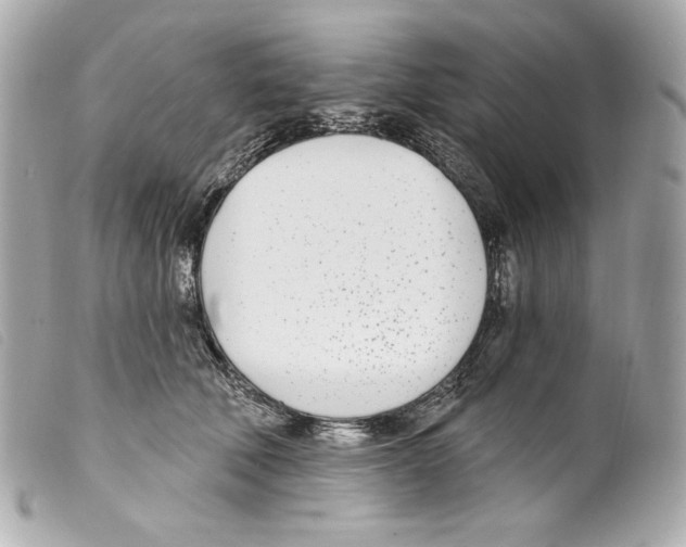 X0000099320610200805301217