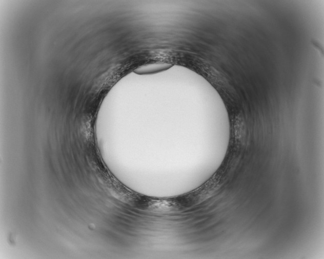 X0000099320611200805301217