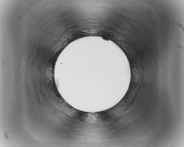 X0000099320612200805301217