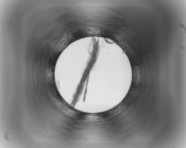 X0000099320614200805301217