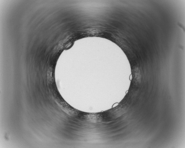 X0000099320615200805301217