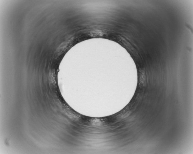 X0000099320616200805301217