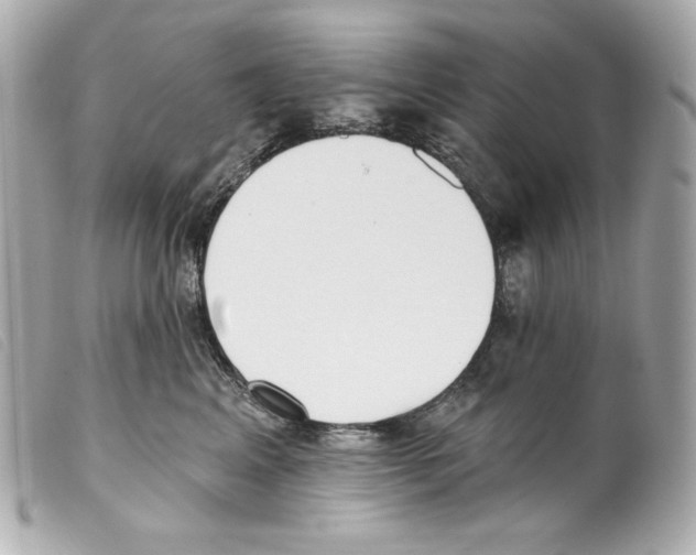 X0000099320617200805301217
