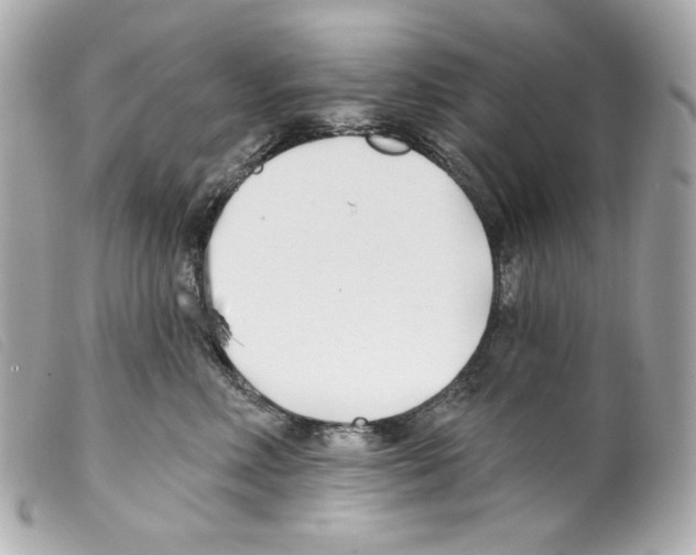 X0000099320618200805301217
