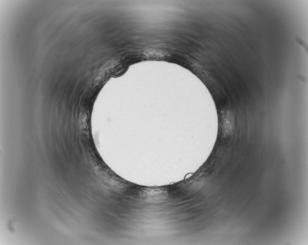 X0000099320619200805301217