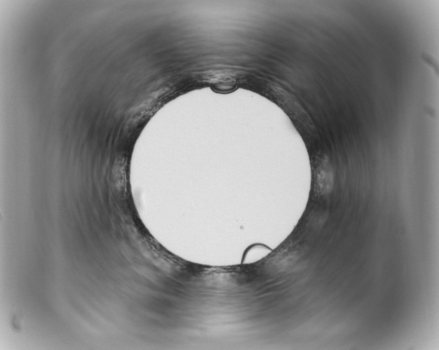 X0000099320620200805301217