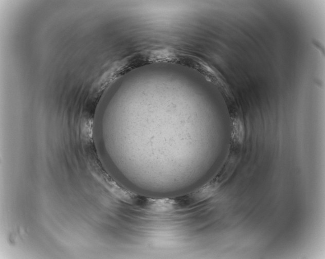 X0000099320621200805301217