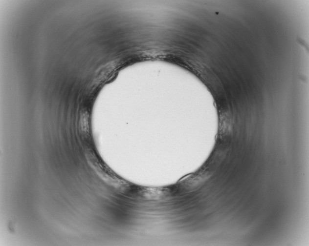 X0000099320623200805301217