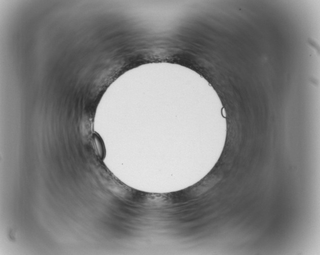 X0000099320624200805301217