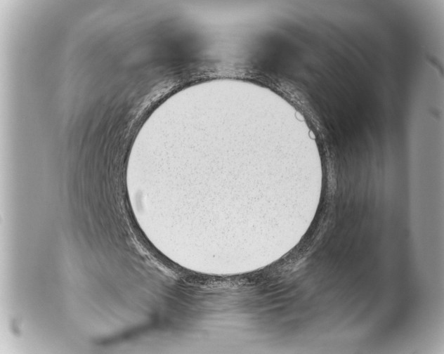 X0000099320625200805301216