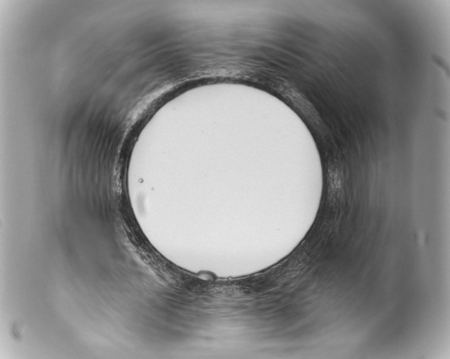 X0000099320628200805301216