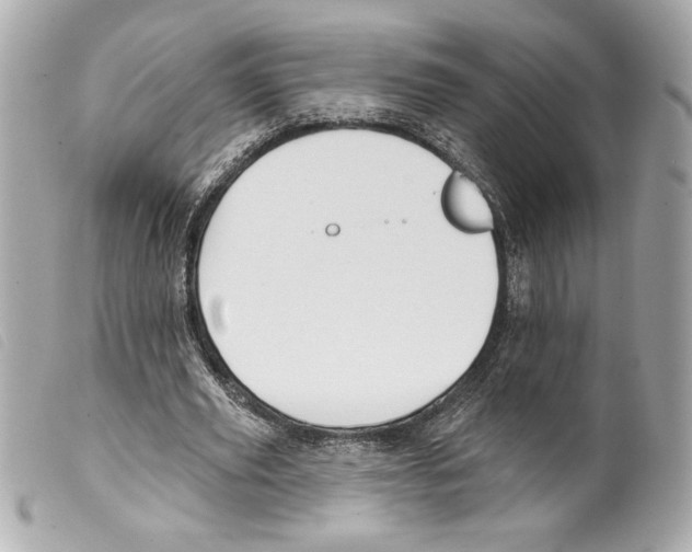 X0000099320629200805301216