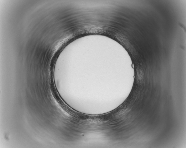X0000099320630200805301216
